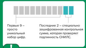 Что означают цифры в СНИЛС в Билла