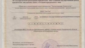 Что такое учредительные документы ООО в Билла