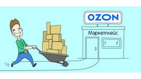 Как использовать баллы Ozon Seller: варианты расходования в Билла