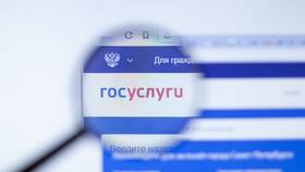 Почему услуги МВД отсутствуют на Госуслугах в Билла