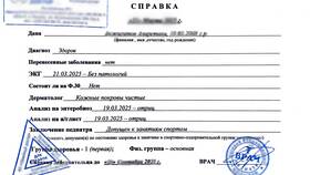 Справка в бассейн: что нужно сдавать в Билла