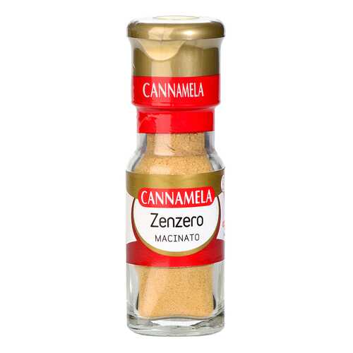 Приправа Cannamela имбирь молотый 20 г в Билла