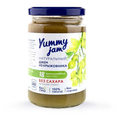 Джем Yummy jam из крыжовника без сахара 350 г в Билла