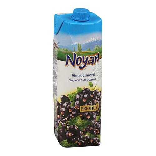 Черная смородина-виноград нектар Noyan premium 1 л в Билла