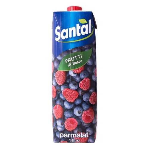 Напиток сокосодержащий Santal лесные ягоды 1 л в Билла